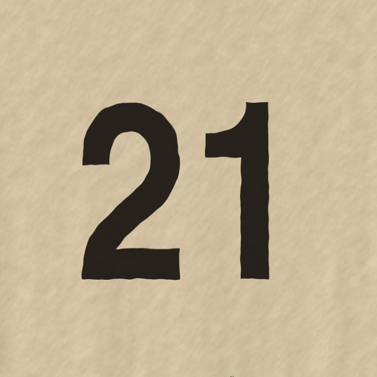 21 — Nahaufnahme des Drucks auf dem Stoff
